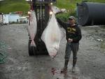 nice looking United States man  from Dutch Harbor US6206