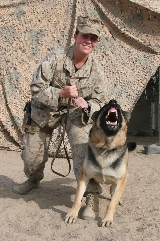 Date this lovely Iraq girl Linda4davis from Baghdad IQ11