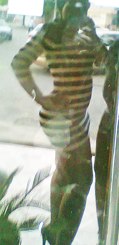 Date this happy Dominican Republic girl Cinthia from Santo Domingo DO10013
