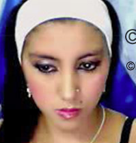 Date this hard body Colombia girl Eliana from Medellin CO10394