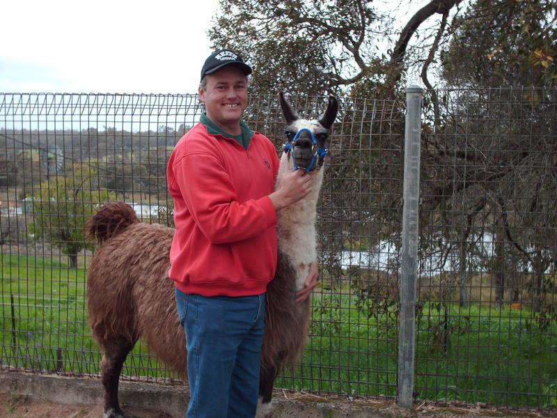 Date this foxy Australia man Peter from Rockhampton AU233