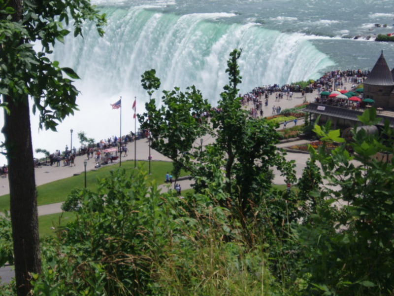 Date this voluptuous Canada man Tigresalvaje from Niagara Falls CA627